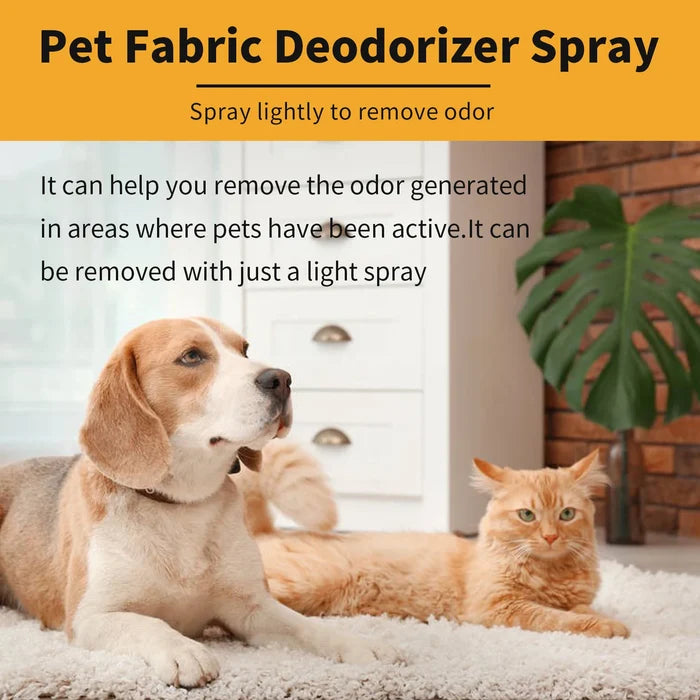 Dog Deodorizing Spray for Dogs – Lavender Pet Perfume & Odor Eliminator