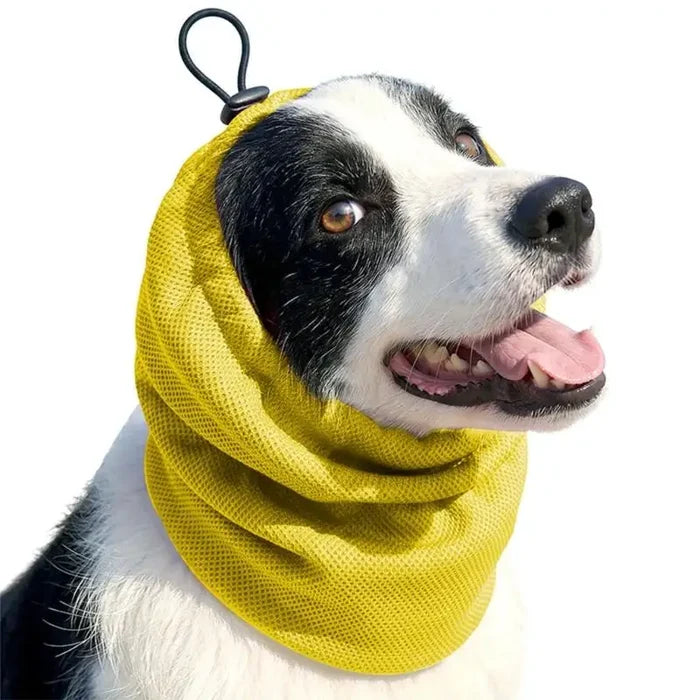 Yellow / S