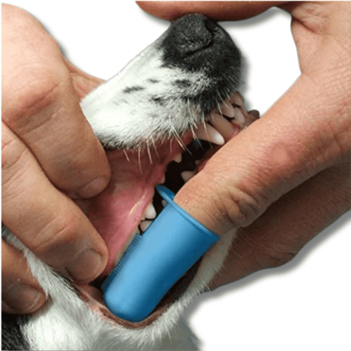 Dog Finger Toothbrush – Silicone Finger Brush for Pet Dental Care