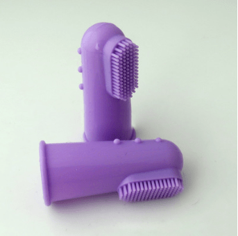 1+1 FREE / Purple