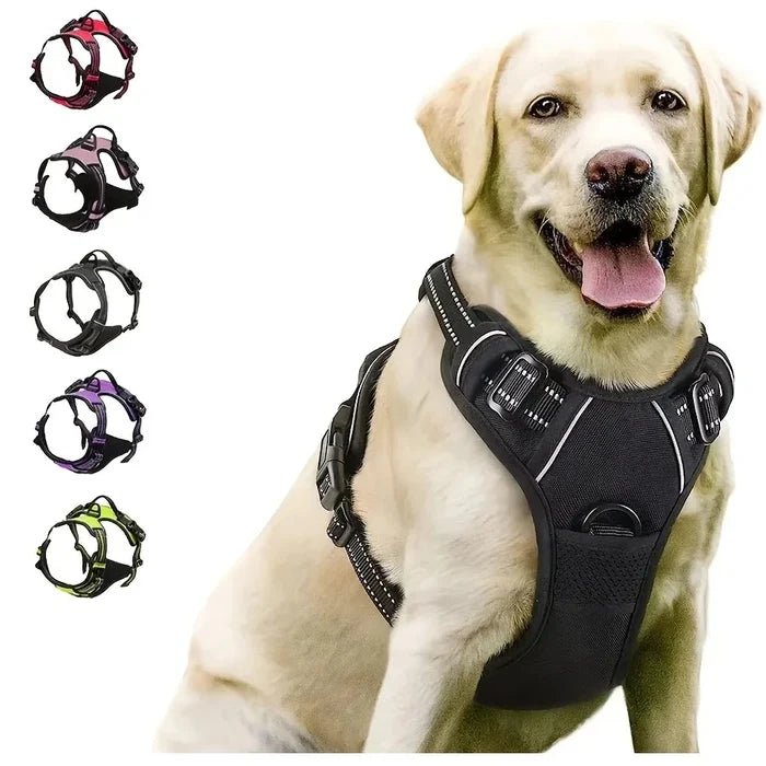 Dog Harness and Leash Set for Small, Medium & Large Dogs – Adjustable Pet Collar Vest