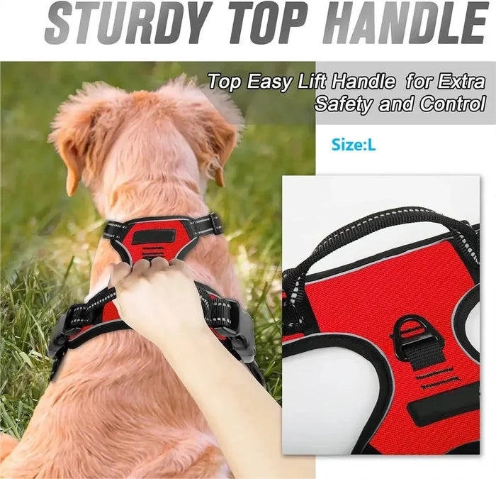 Dog Harness and Leash Set for Small, Medium & Large Dogs – Adjustable Pet Collar Vest