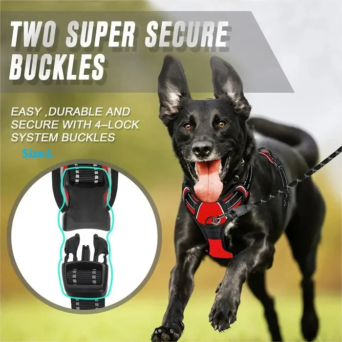 Dog Harness and Leash Set for Small, Medium & Large Dogs – Adjustable Pet Collar Vest