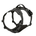 Dog Harness and Leash Set for Small, Medium & Large Dogs – Adjustable Pet Collar Vest