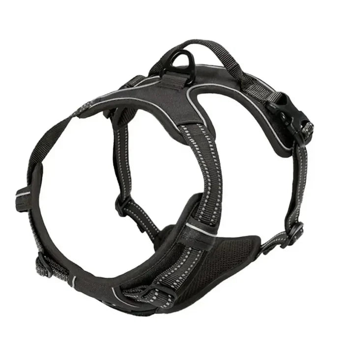 Dog Harness and Leash Set for Small, Medium & Large Dogs – Adjustable Pet Collar Vest