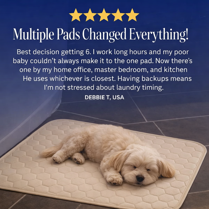 Dog Pee Pad | Reusable Training Mat – Waterproof Odor Control