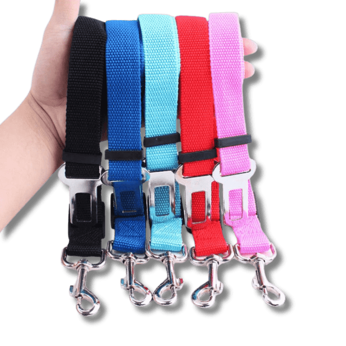 Dog Seat Belt Leash for Car – Adjustable Pet Safety Seat Belt