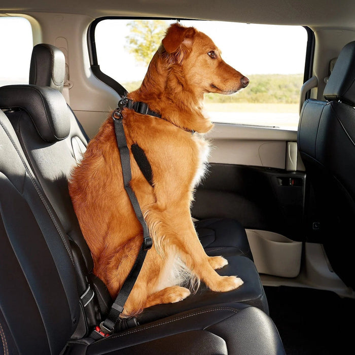 Dog Seat Belt Leash for Car – Adjustable Pet Safety Seat Belt
