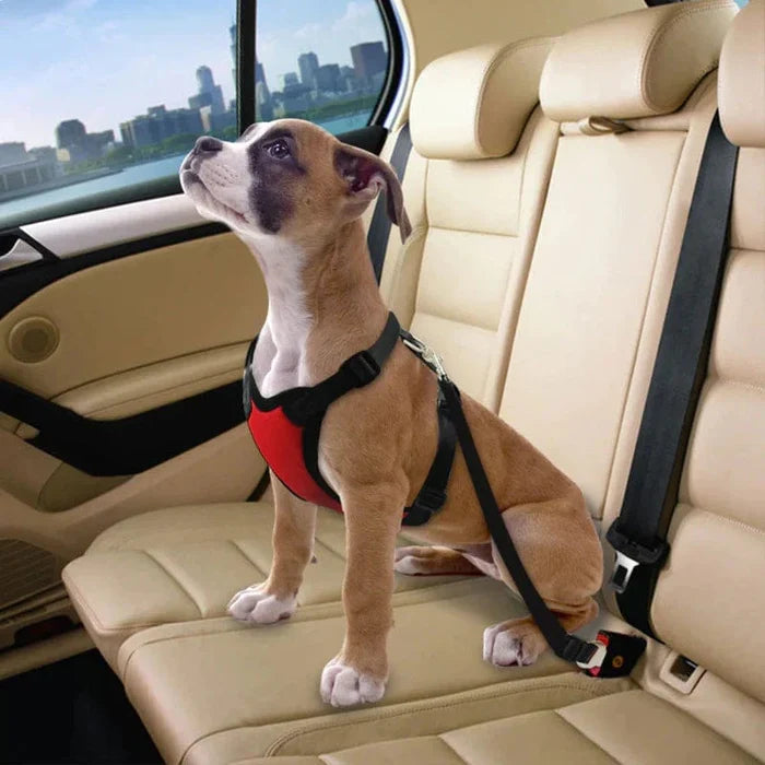 Dog Seat Belt Leash for Car – Adjustable Pet Safety Seat Belt