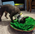 Dog Snuffle Mat | Interactive Feeding – Mental Enrichment & Slow Eating