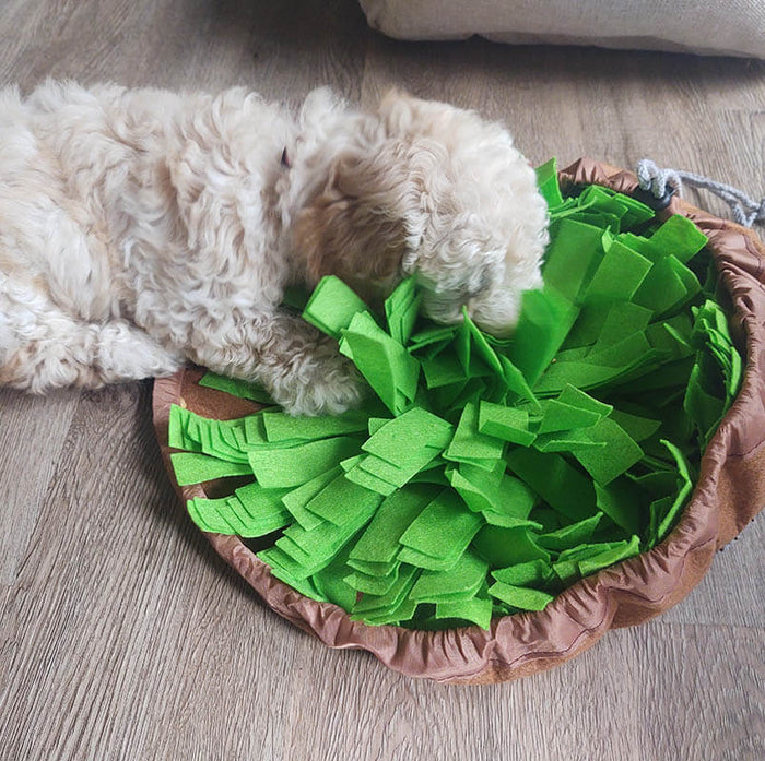 Dog Snuffle Mat | Interactive Feeding – Mental Enrichment & Slow Eating