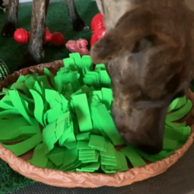 Dog Snuffle Mat | Interactive Feeding – Mental Enrichment & Slow Eating
