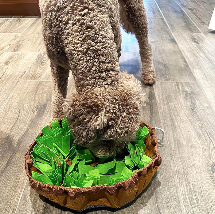 Dog Snuffle Mat | Interactive Feeding – Mental Enrichment & Slow Eating