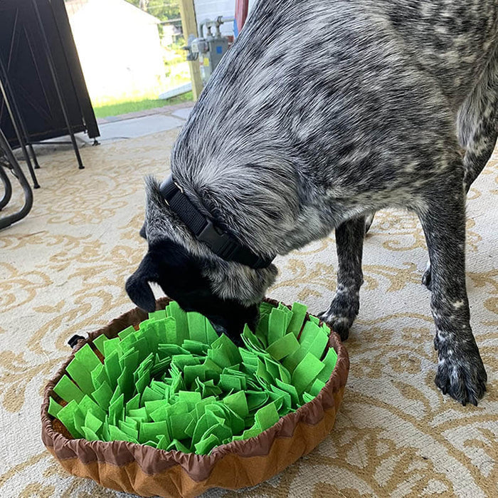 Dog Snuffle Mat | Interactive Feeding – Mental Enrichment & Slow Eating