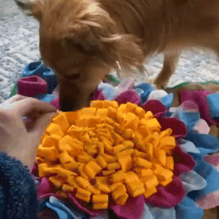 Dog Snuffle Mat – Interactive Nose Work & Treat Feeding Toy