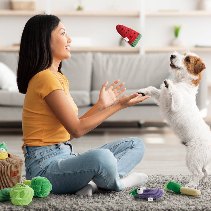 Dog Squeaky Toy Set with Grocery Bag Interactive Plush Toys for Dogs