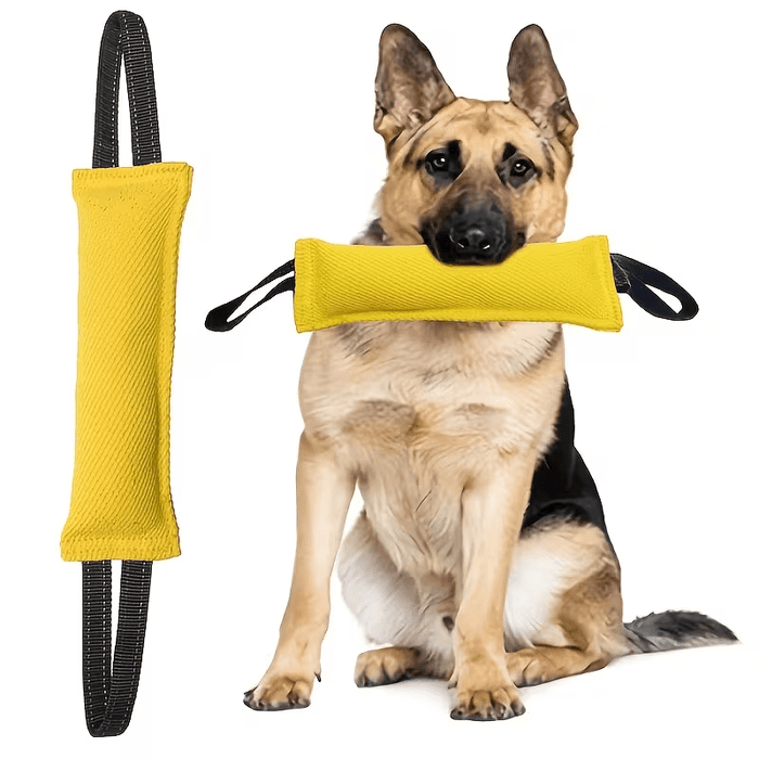 Dog Tug Rope Toy with Dual Handles | Bite Pillow for Training & Play