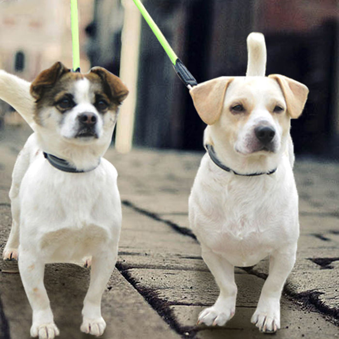 Double-Headed One-to-Two Reflective Nylon Pet Leash