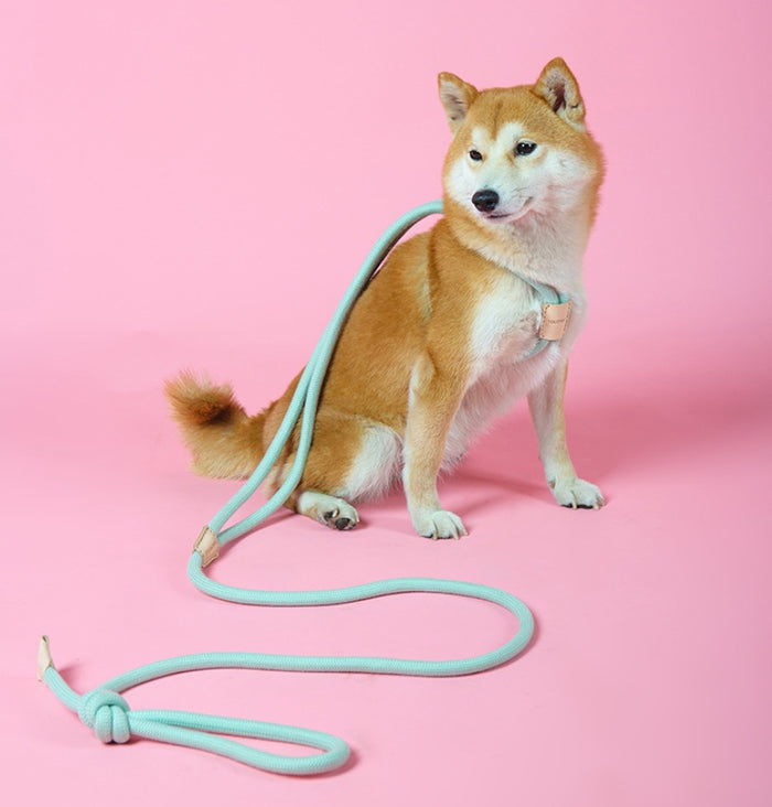 Dual-Purpose Integrated Round Rope Leash for Pets