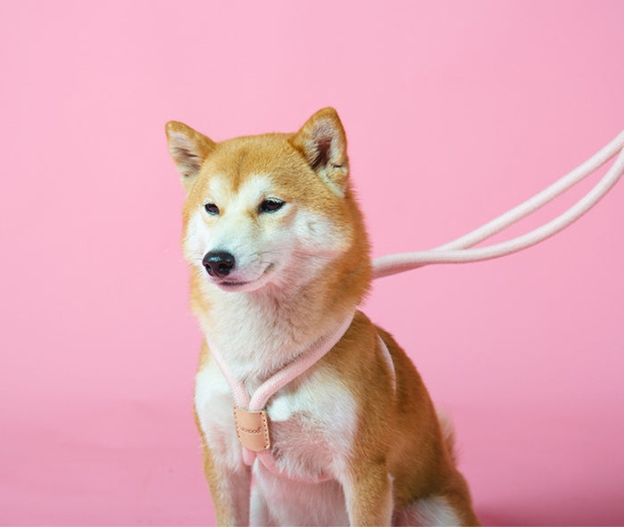 Dual-Purpose Integrated Round Rope Leash for Pets