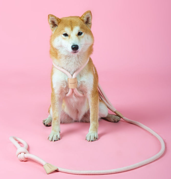 Dual-Purpose Integrated Round Rope Leash for Pets