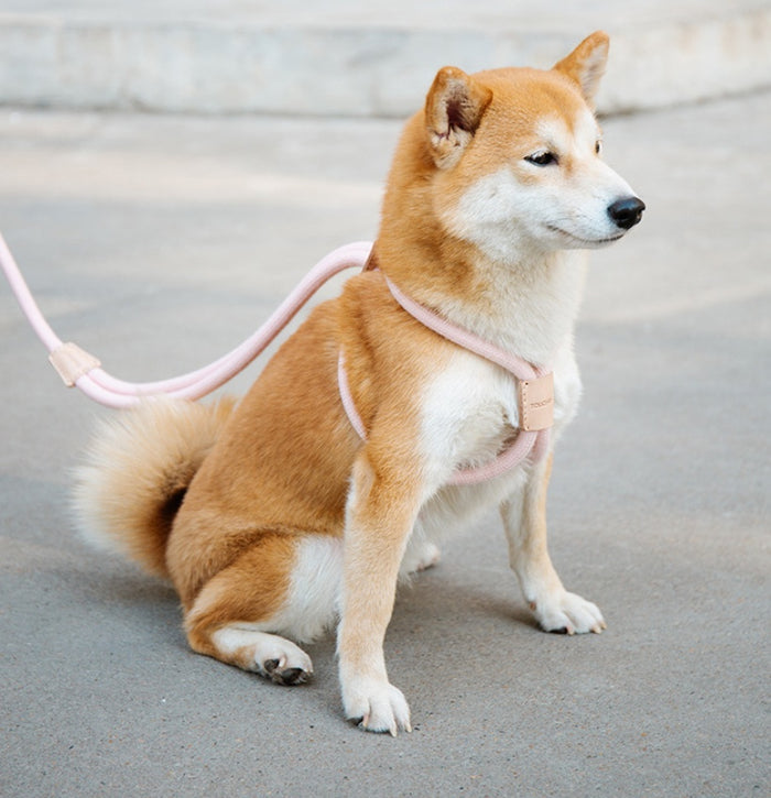 Dual-Purpose Integrated Round Rope Leash for Pets