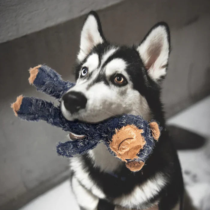Durable Bear Dog Toy | Interactive Plush Chew Toy for Small & Medium Dogs