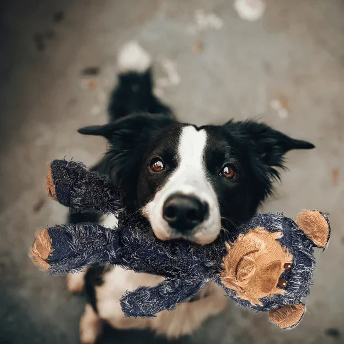 Durable Bear Dog Toy | Interactive Plush Chew Toy for Small & Medium Dogs