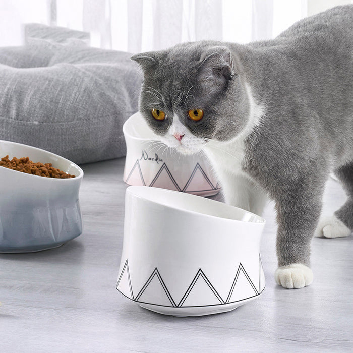Durable Ceramic Pet Feeding Bowl