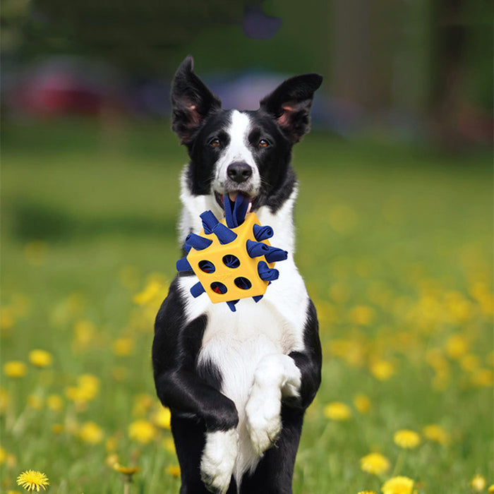Durable Cube Chew Toy Long-Lasting Pet Toy