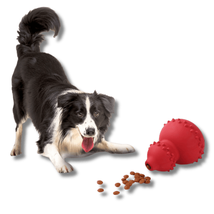 Durable Dog Chew Toy for Aggressive Chewers – Tough Interactive Chewing Toy