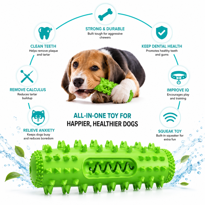 Durable Dog Chew Toy Toothbrush Stick for Aggressive Chewers & Puppies