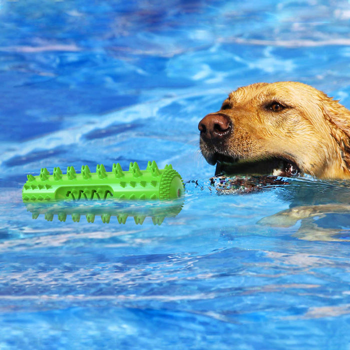 Durable Dog Chew Toy Toothbrush Stick for Aggressive Chewers & Puppies