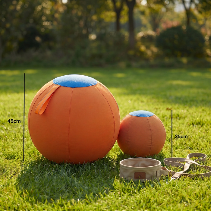 Durable Dog Training Ball with Cover | Interactive Fetch & Exercise Toy