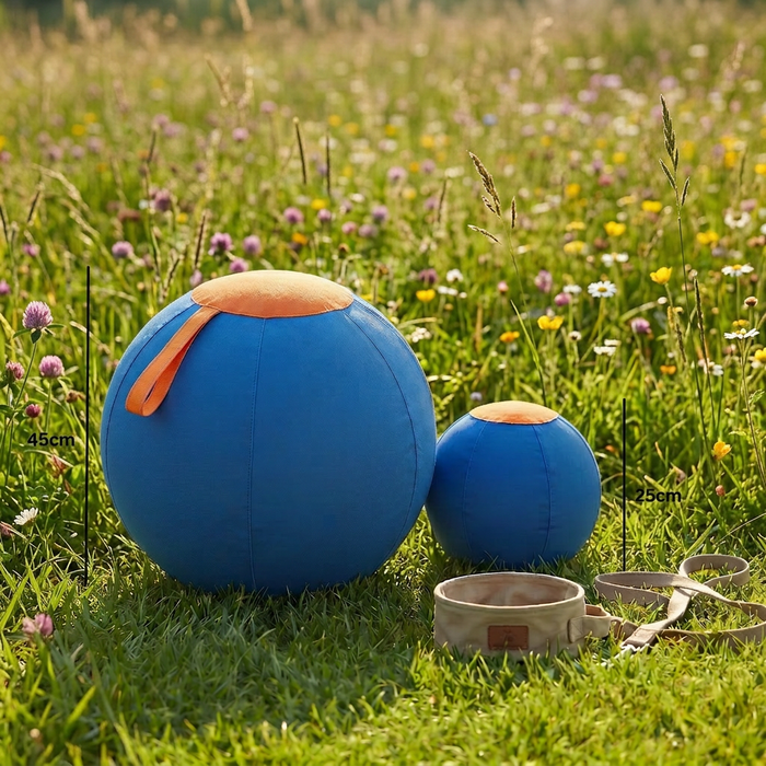 Durable Dog Training Ball with Cover | Interactive Fetch & Exercise Toy