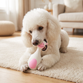 Durable Latex Squeaky Dog Toy | Interactive Chew & Dental Play Toy