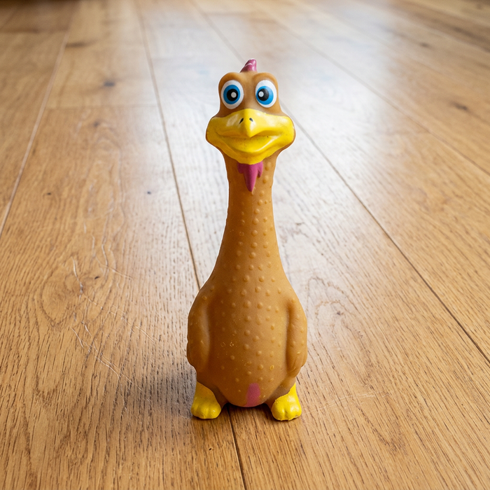 Brown Duck