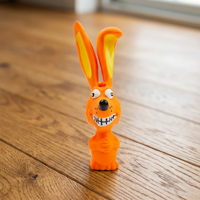 Durable Natural Latex Dog Chew Toy for Teeth Cleaning & Oral Care