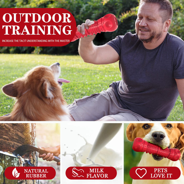 Durable Rubber Dog Squeaky Toy for Aggressive Chewers & Large Dogs