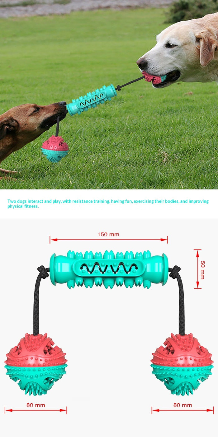 Durable Teeth-Cleaning Chew Stick for Pets
