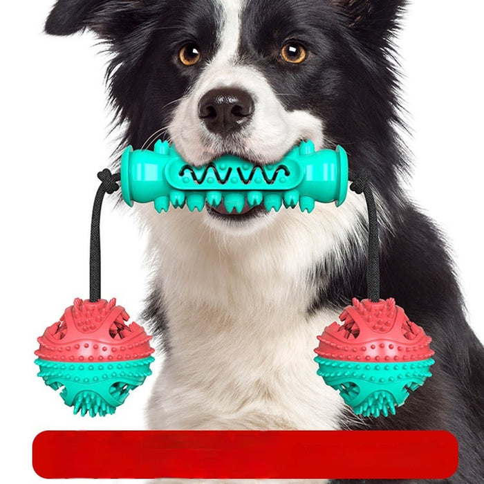 Durable Teeth-Cleaning Chew Stick for Pets