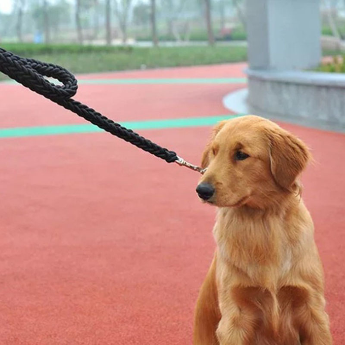 Eight-Strand Braided Leash for Walking Pets