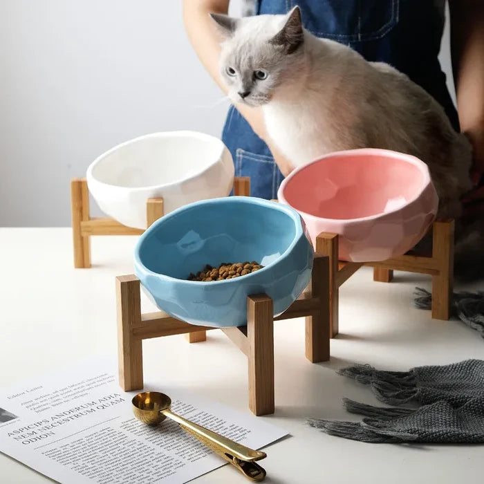 Elevated Cat Bowl with Stand – Ergonomic Raised Feeding Bowl for Cats & Kittens