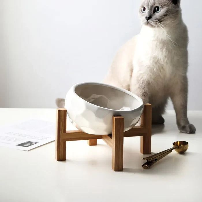 Elevated Cat Bowl with Stand – Ergonomic Raised Feeding Bowl for Cats & Kittens