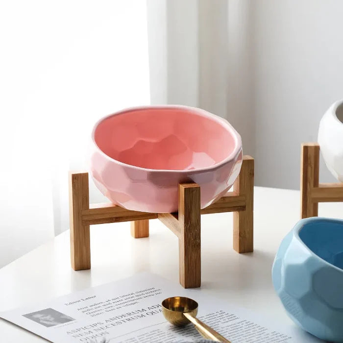 Elevated Cat Bowl with Stand – Ergonomic Raised Feeding Bowl for Cats & Kittens