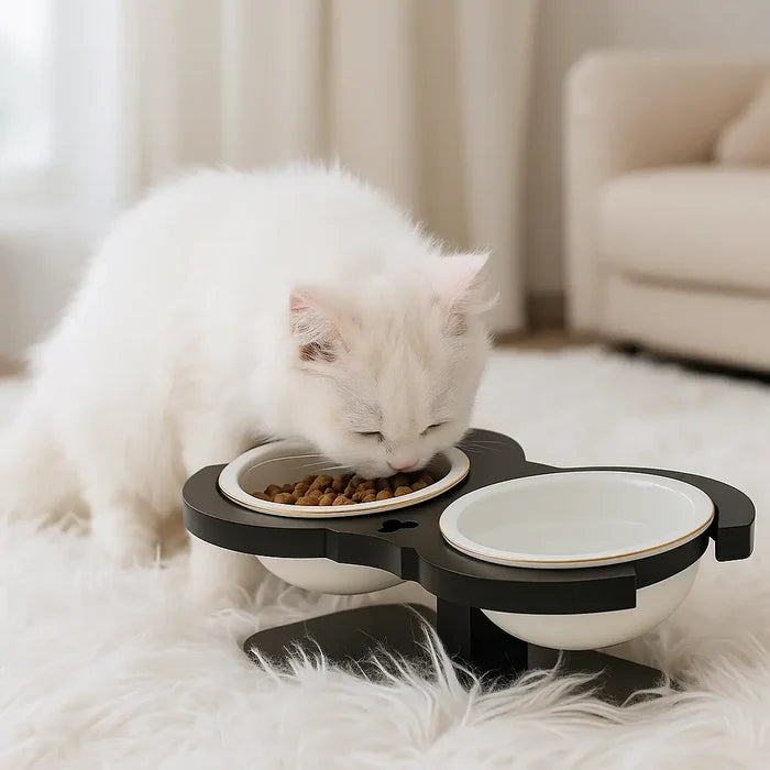 Elevated Cat Bowls with Stand – Wood & Ceramic Double Cat Bowl