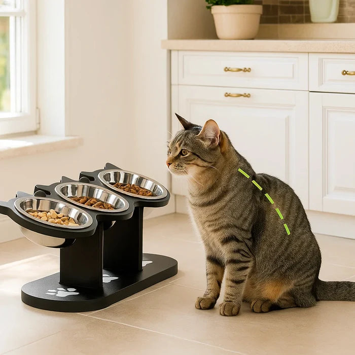Elevated Cat Bowls with Wooden Stand – Adjustable Tilted Stainless Steel Cat Bowl Set
