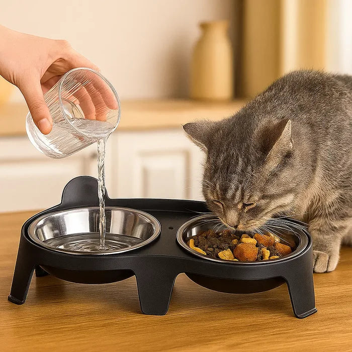 Elevated Stainless Steel Cat Bowls – Double Cat Bowl with Tilted Stand