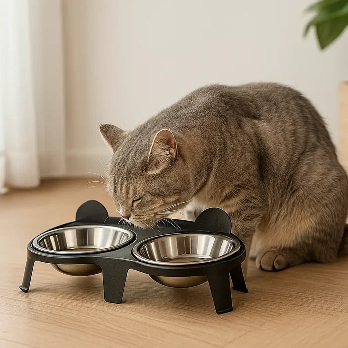 Elevated Stainless Steel Cat Bowls – Double Cat Bowl with Tilted Stand