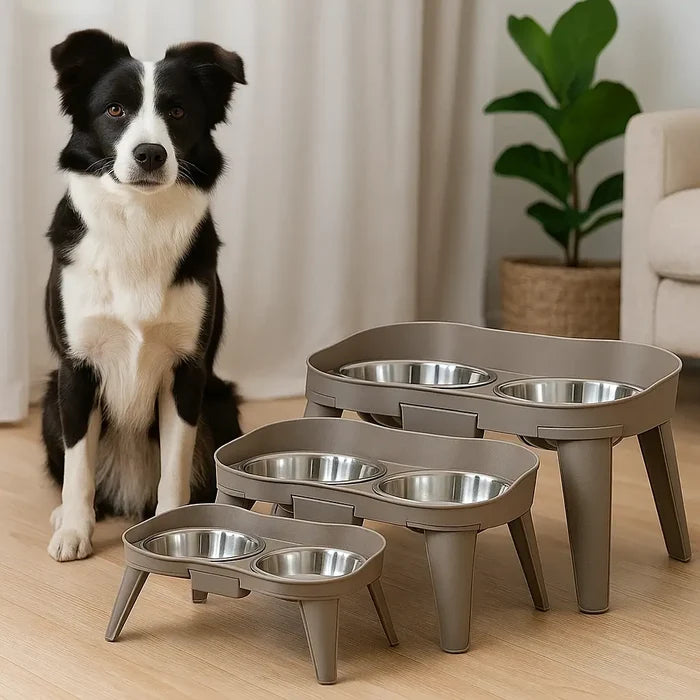 Elevated Stainless Steel Dog Bowls – Double Dog Bowl with Non Slip Stand
